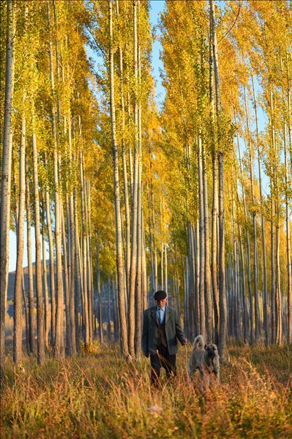 Ovacık'ta sonbahar renkleri görsel şölen sunuyor