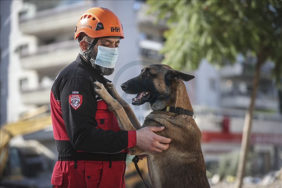 Search and rescue dog 'Altar' with his keen sense of smell