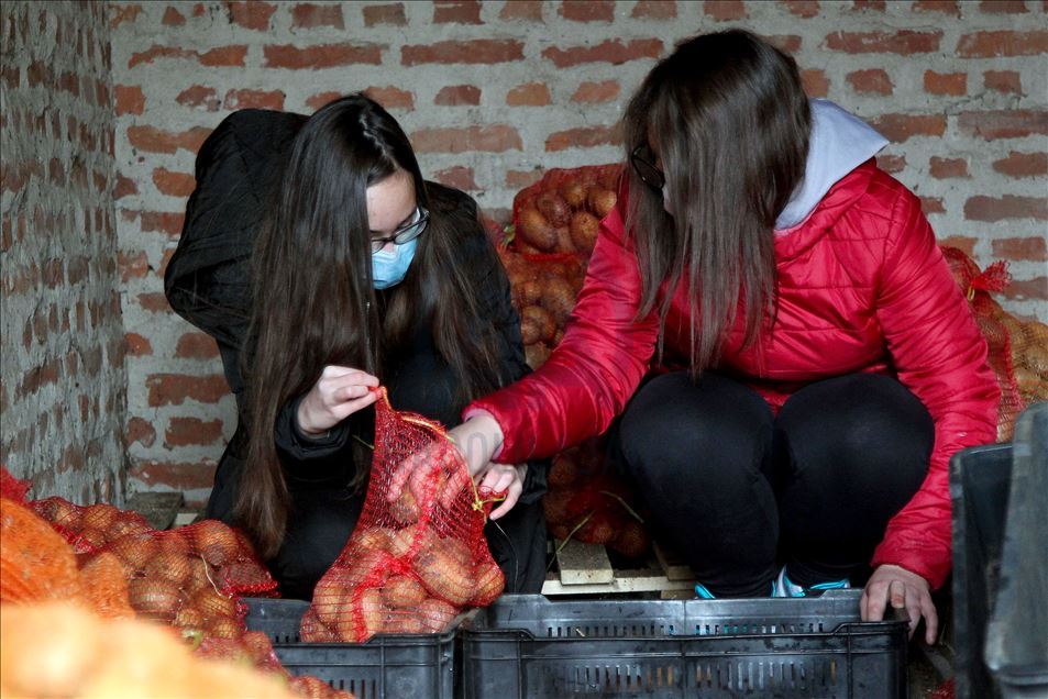 Nastava može i ovako: Škola u kojoj đaci sade kukuruz, beru papriku i voze traktor 