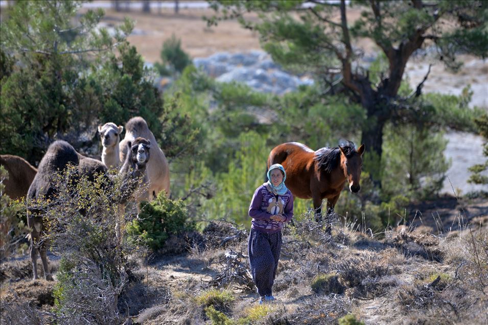 Anadolu'nun bin yıllık konargöçerlik kültürünü Sarıkeçili Yörükleri sürdürüyor