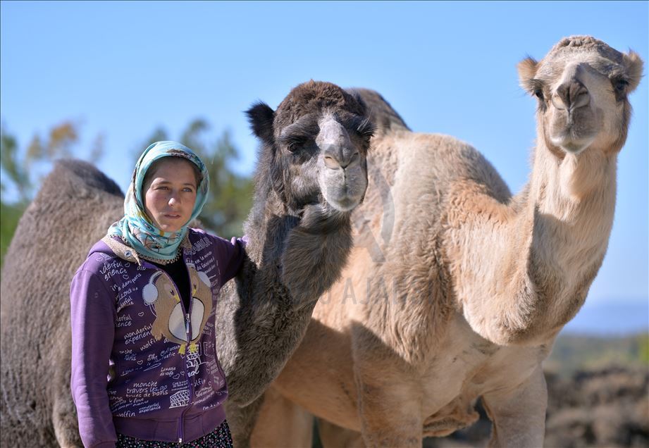 Anadolu'nun bin yıllık konargöçerlik kültürünü Sarıkeçili Yörükleri sürdürüyor