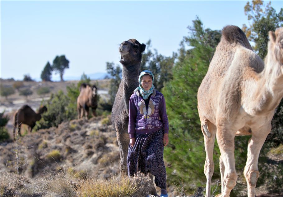 Anadolu'nun bin yıllık konargöçerlik kültürünü Sarıkeçili Yörükleri sürdürüyor