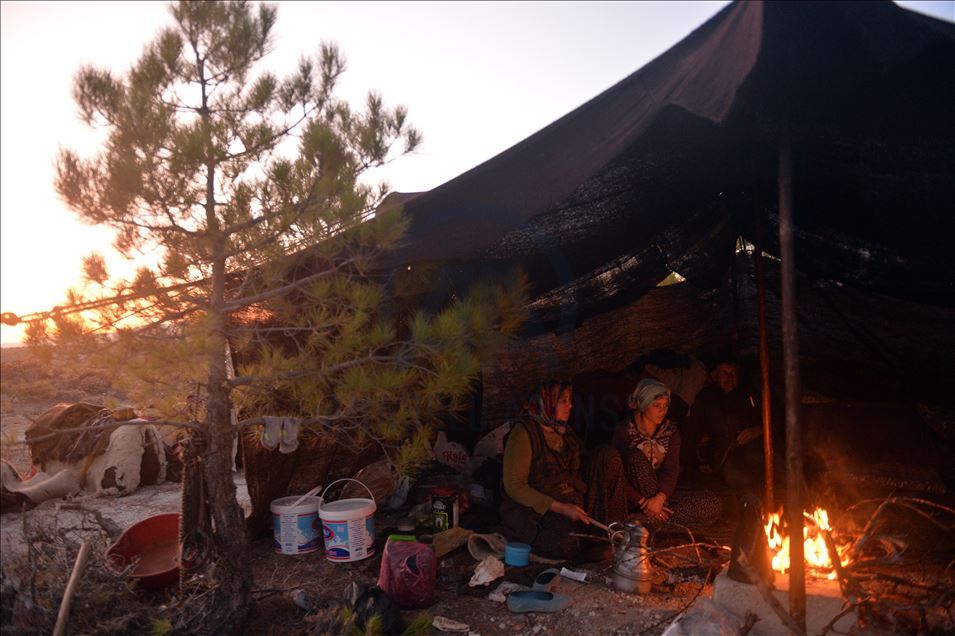 Anadolu'nun bin yıllık konargöçerlik kültürünü Sarıkeçili Yörükleri sürdürüyor