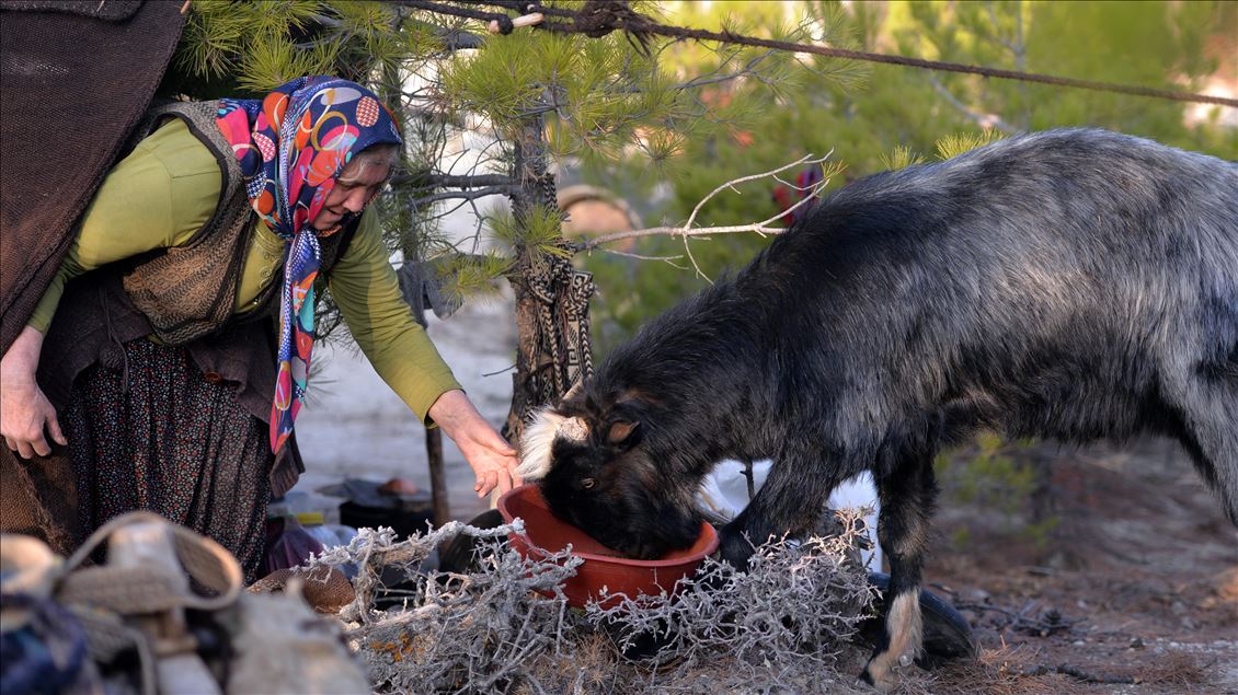 Anadolu'nun bin yıllık konargöçerlik kültürünü Sarıkeçili Yörükleri sürdürüyor