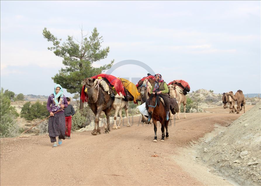 Anadolu'nun bin yıllık konargöçerlik kültürünü Sarıkeçili Yörükleri sürdürüyor