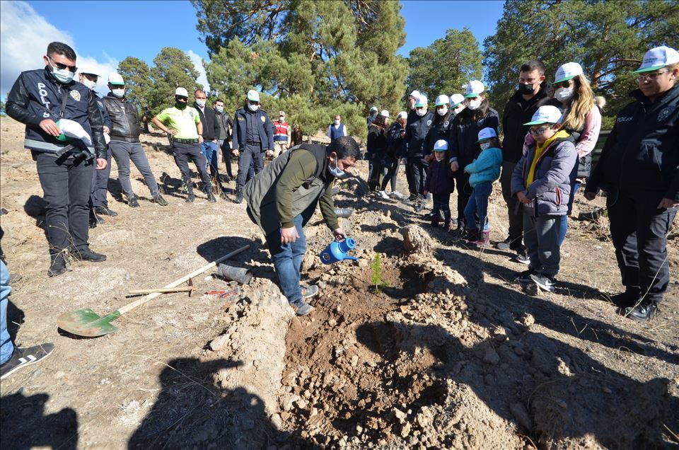 11 Kasım Milli Ağaçlandırma Günü
