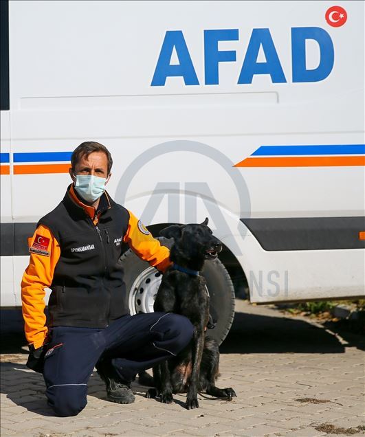 Arama kurtarmanın gizli kahramanları: "Keskin burunlar"