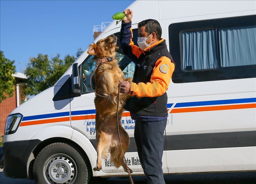 Arama kurtarmanın gizli kahramanları: "Keskin burunlar"