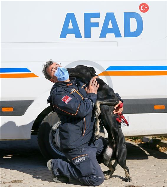 Arama kurtarmanın gizli kahramanları: "Keskin burunlar"