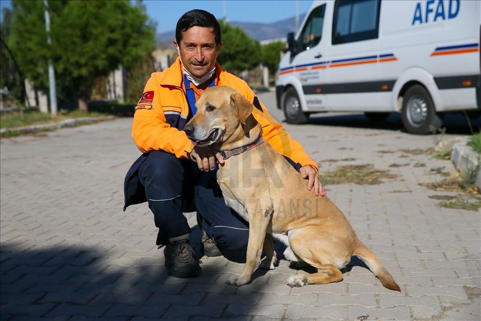 Arama kurtarmanın gizli kahramanları: "Keskin burunlar"