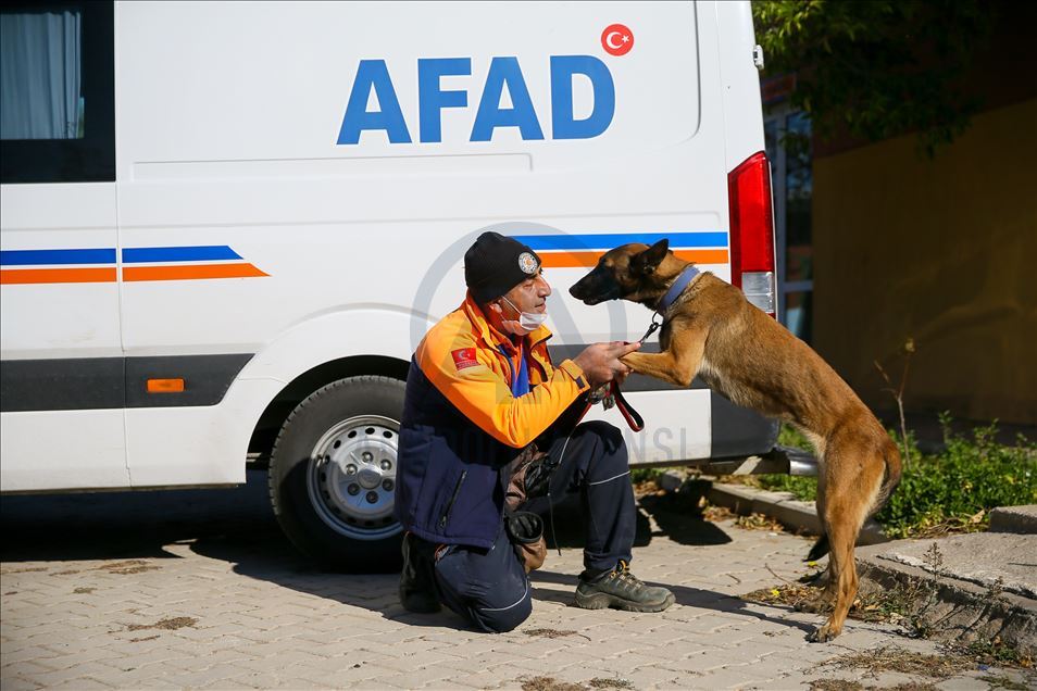 Arama kurtarmanın gizli kahramanları: "Keskin burunlar"