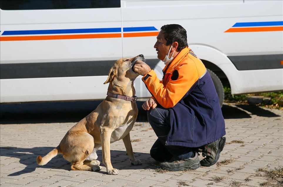 Arama kurtarmanın gizli kahramanları: "Keskin burunlar"