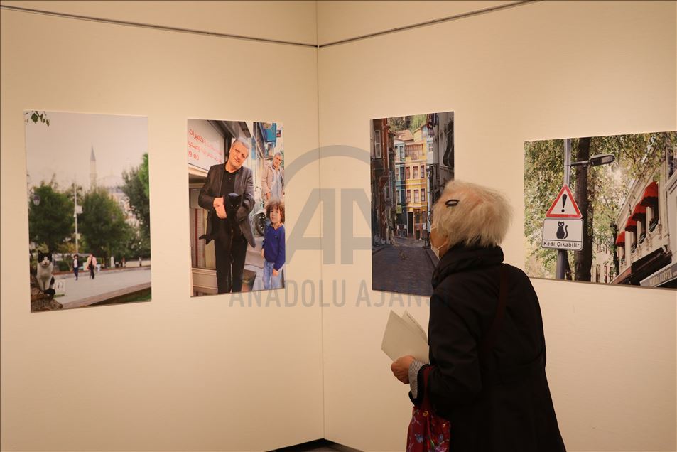 Tokyo’da "Türk kedisi" fotoğraf sergisi açıldı
