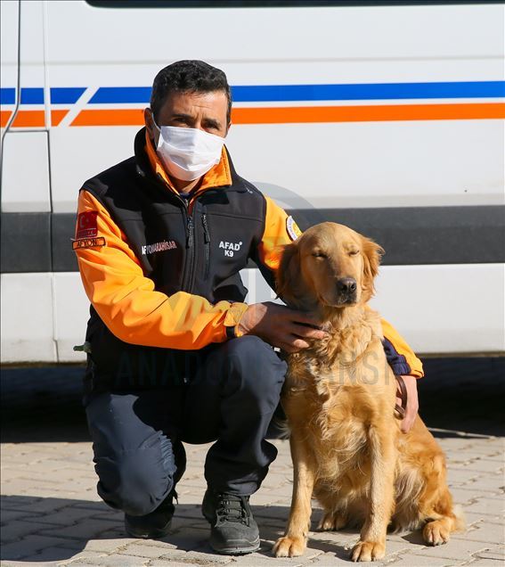 Arama kurtarmanın gizli kahramanları: "Keskin burunlar"