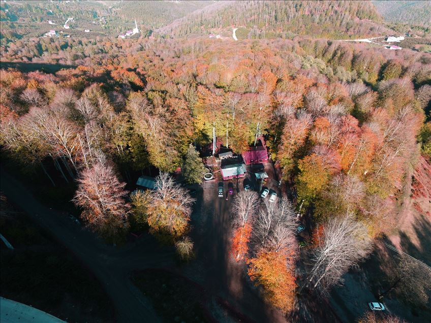 پاییز در سامسون ترکیه