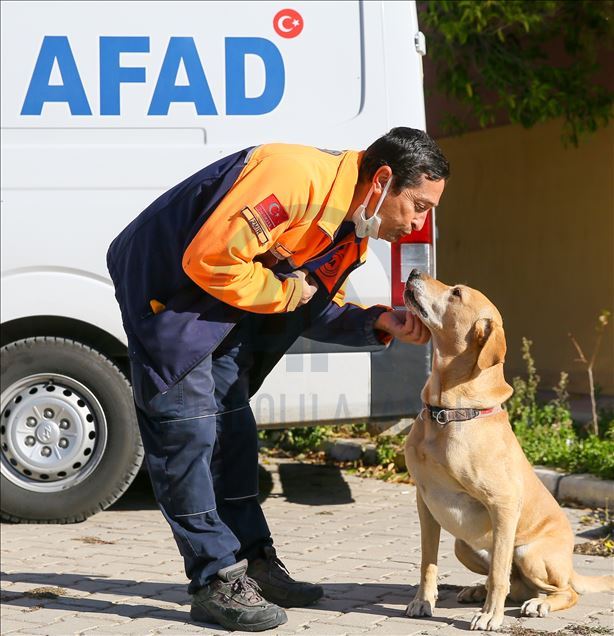 Arama kurtarmanın gizli kahramanları: "Keskin burunlar"