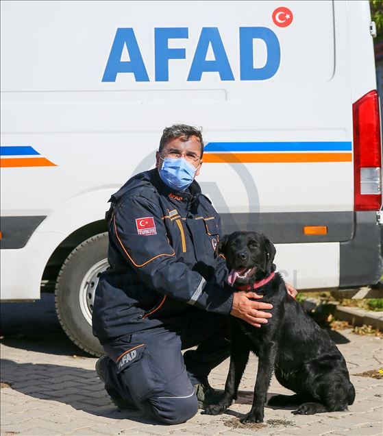 Arama kurtarmanın gizli kahramanları: "Keskin burunlar"