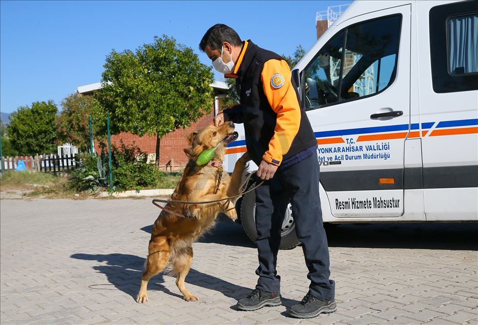 Arama kurtarmanın gizli kahramanları: "Keskin burunlar"