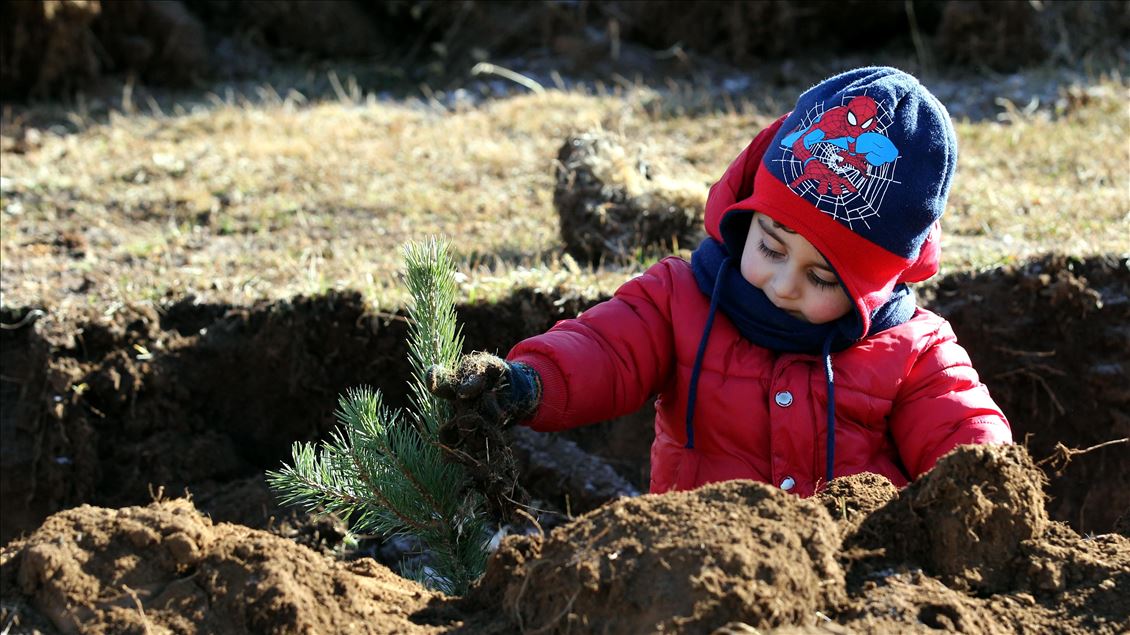11 Kasım Milli Ağaçlandırma Günü
