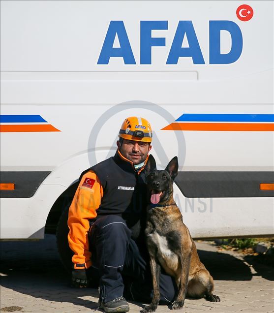 Arama kurtarmanın gizli kahramanları: "Keskin burunlar"