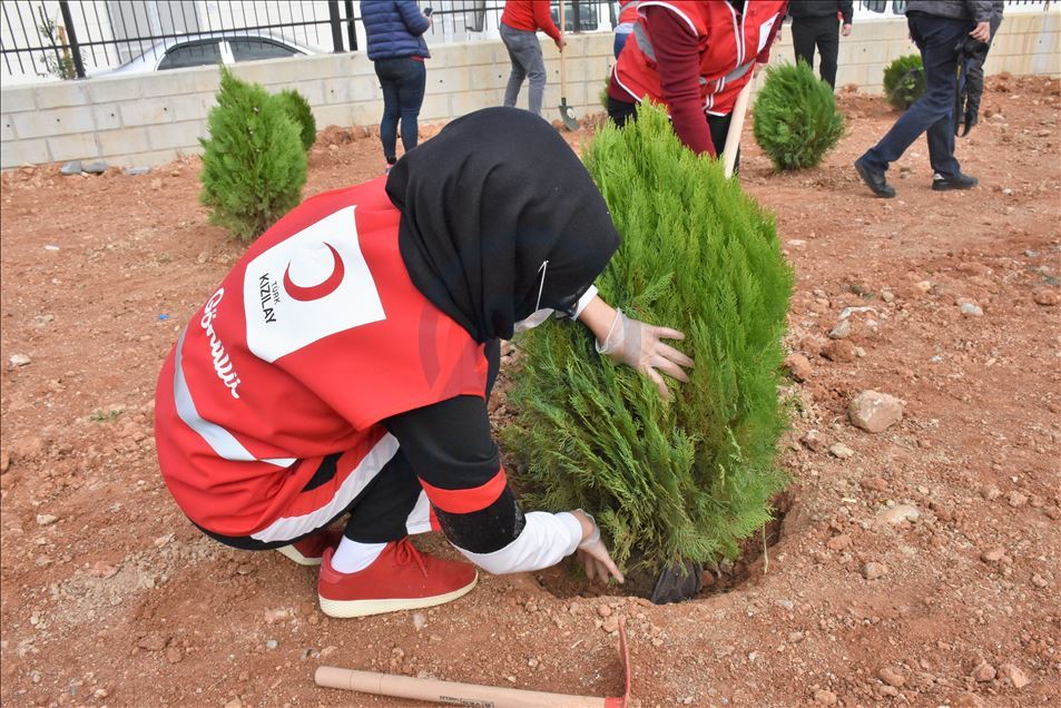 Bursa ve çevre illerde Milli Ağaçlandırma Günü etkinliği düzenlendi
