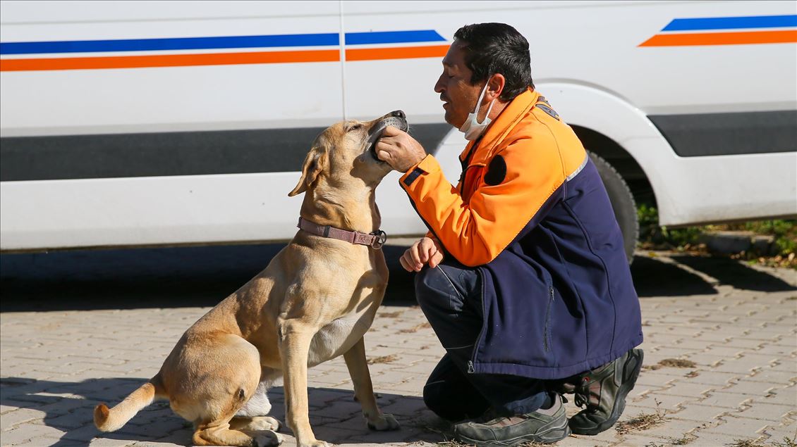 Arama kurtarmanın gizli kahramanları: "Keskin burunlar"