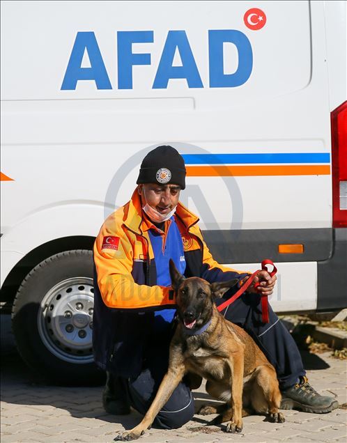 Arama kurtarmanın gizli kahramanları: "Keskin burunlar"