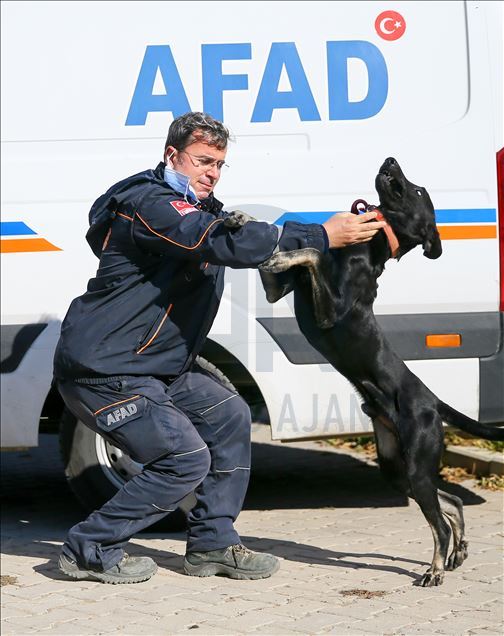 Arama kurtarmanın gizli kahramanları: "Keskin burunlar"