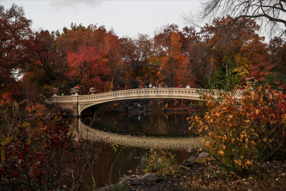Así es el otoño en el Central Park de Nueva York