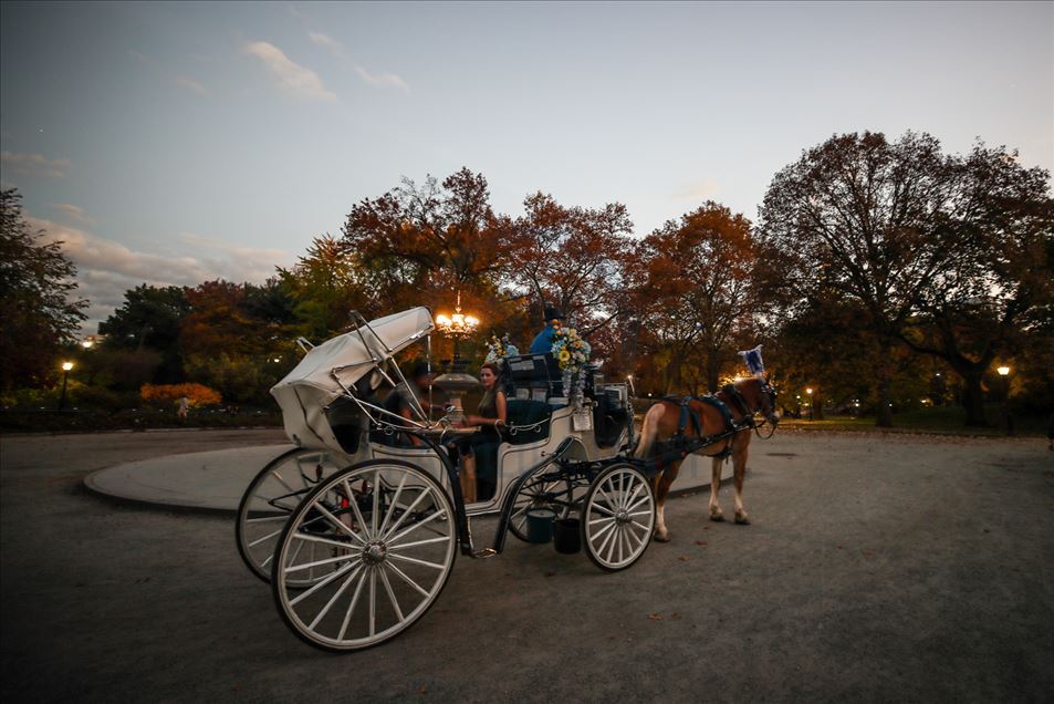 Así es el otoño en el Central Park de Nueva York
