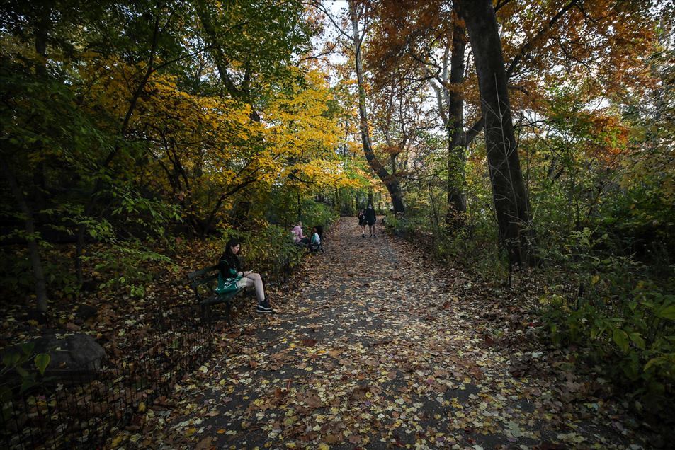 Así es el otoño en el Central Park de Nueva York