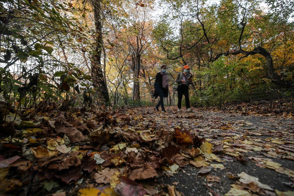 Así es el otoño en el Central Park de Nueva York