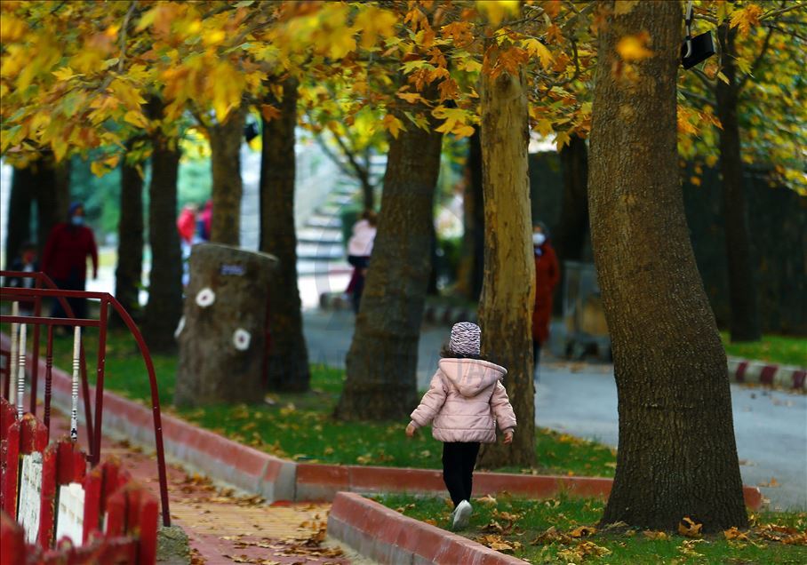 Konya'daki Kuğulu ve Japon Parkı hazan renklerine büründü