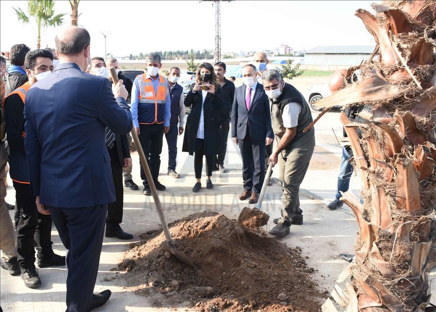 تركيا تزرع 600 شجرة في منطقة "نبع السلام" شمال سوريا