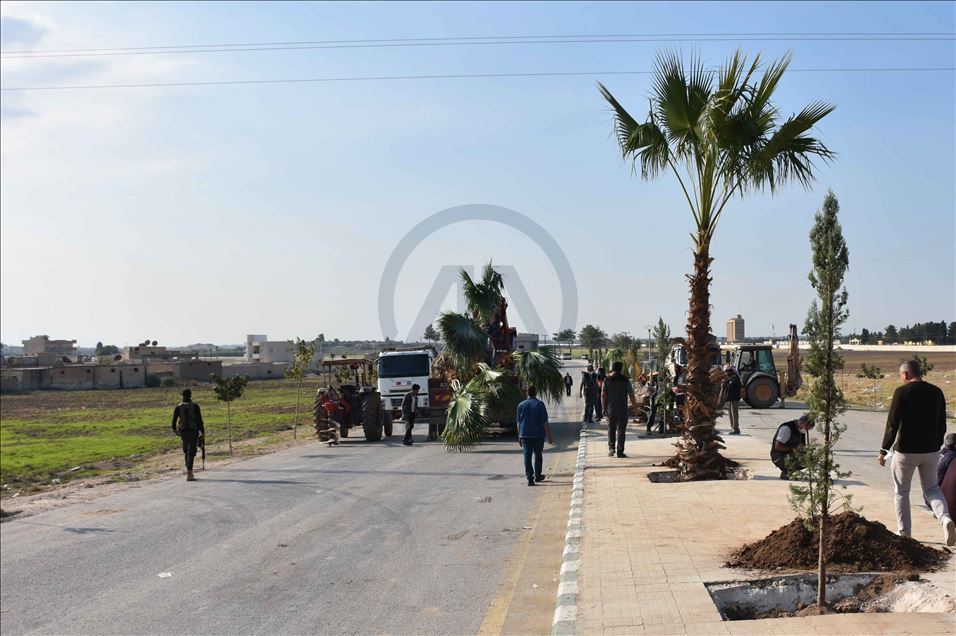 تركيا تزرع 600 شجرة في منطقة "نبع السلام" شمال سوريا