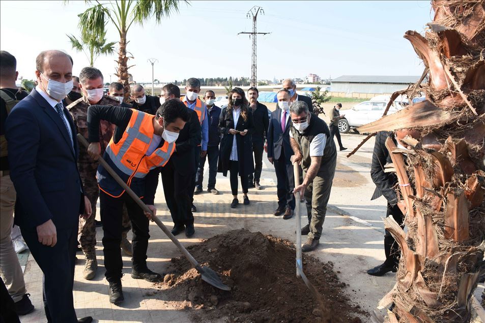 تركيا تزرع 600 شجرة في منطقة "نبع السلام" شمال سوريا