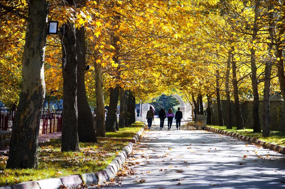Konya'daki Kuğulu ve Japon Parkı hazan renklerine büründü