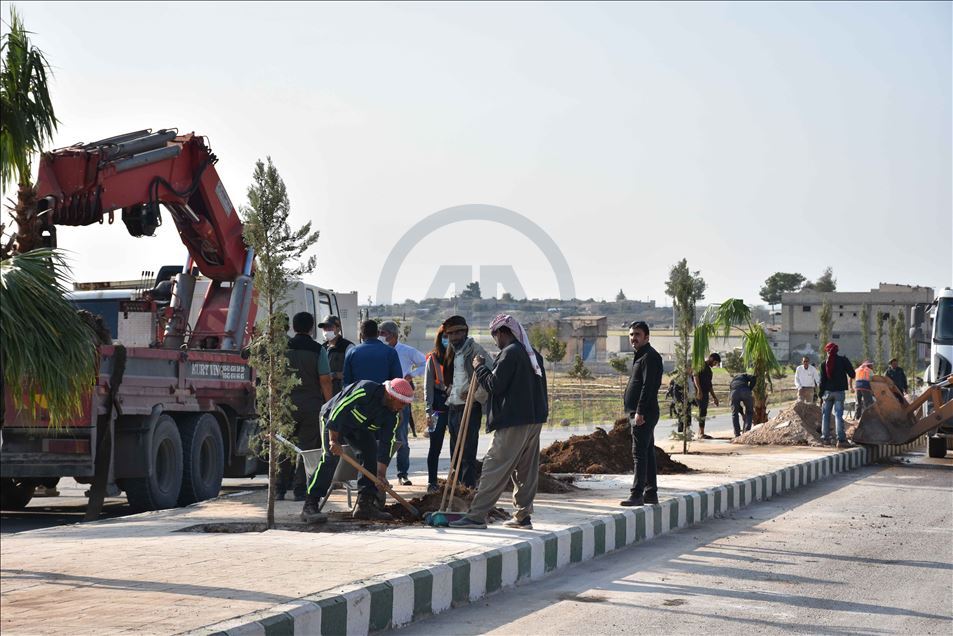تركيا تزرع 600 شجرة في منطقة "نبع السلام" شمال سوريا