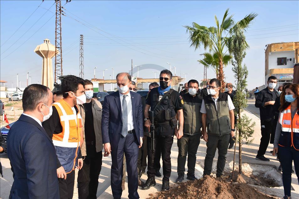 تركيا تزرع 600 شجرة في منطقة "نبع السلام" شمال سوريا