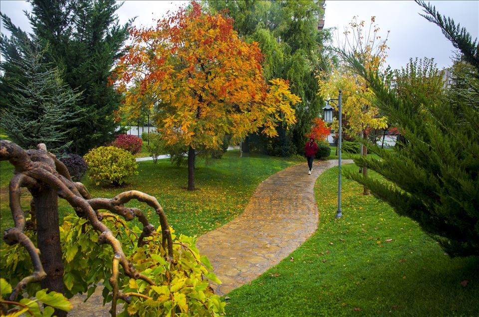 زیباییهای پاییز در قونیه ترکیه
