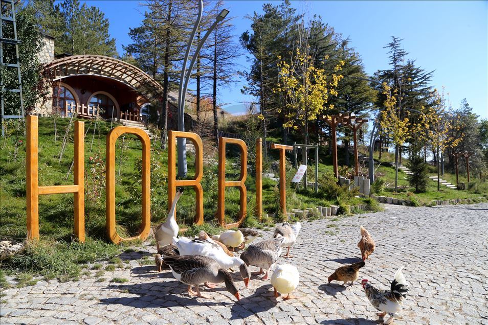 Sivas'ın "Hobbit evleri"nde sonbahar güzelliği