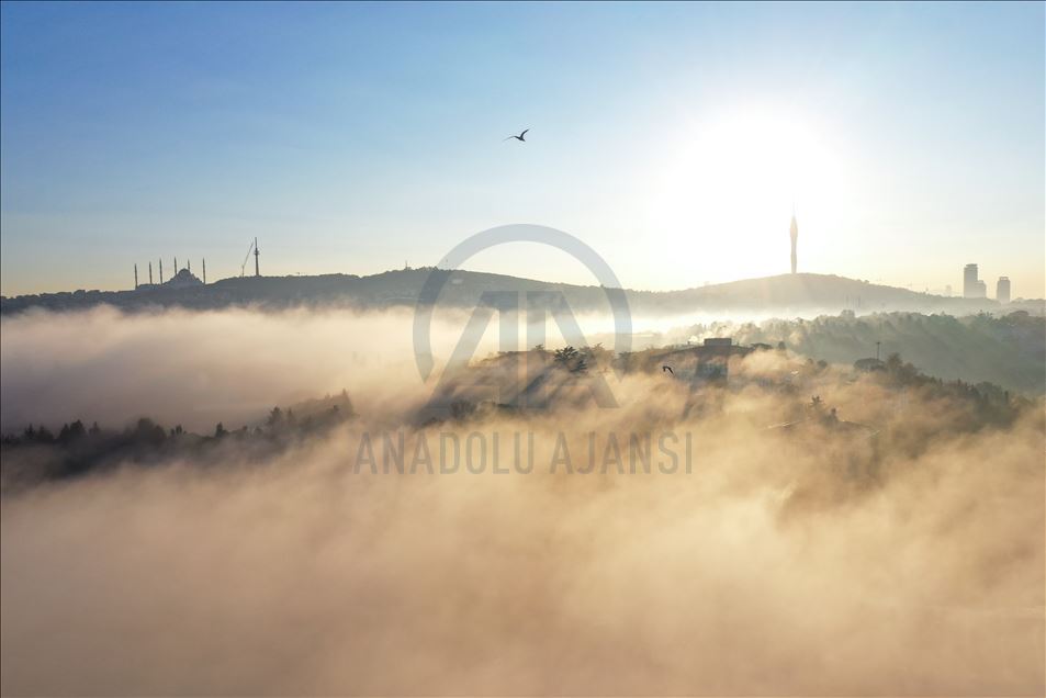 Foggy Day in Istanbul 