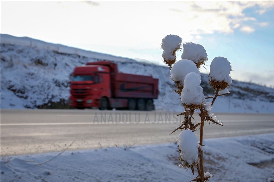 Snowfall in Turkey's Van