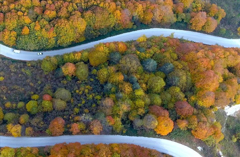 Autumn views from Turkey's Duzce