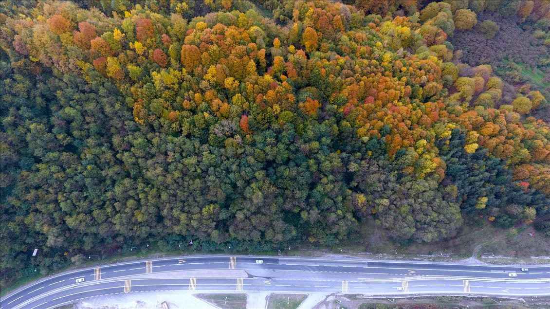 
پاییز هزار رنگ جنگل‌های کوه بولو ترکیه
