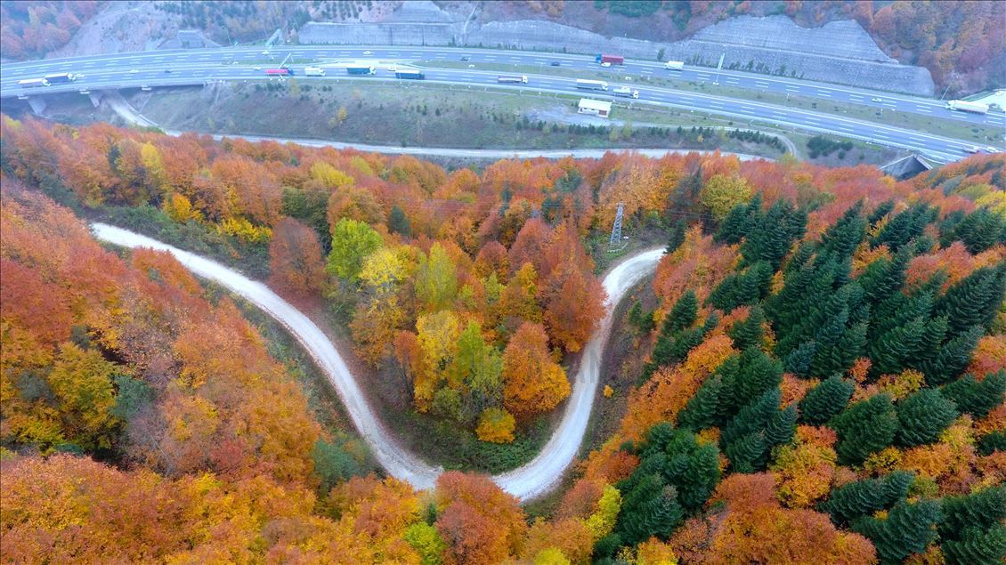 Autumn views from Turkey's Duzce