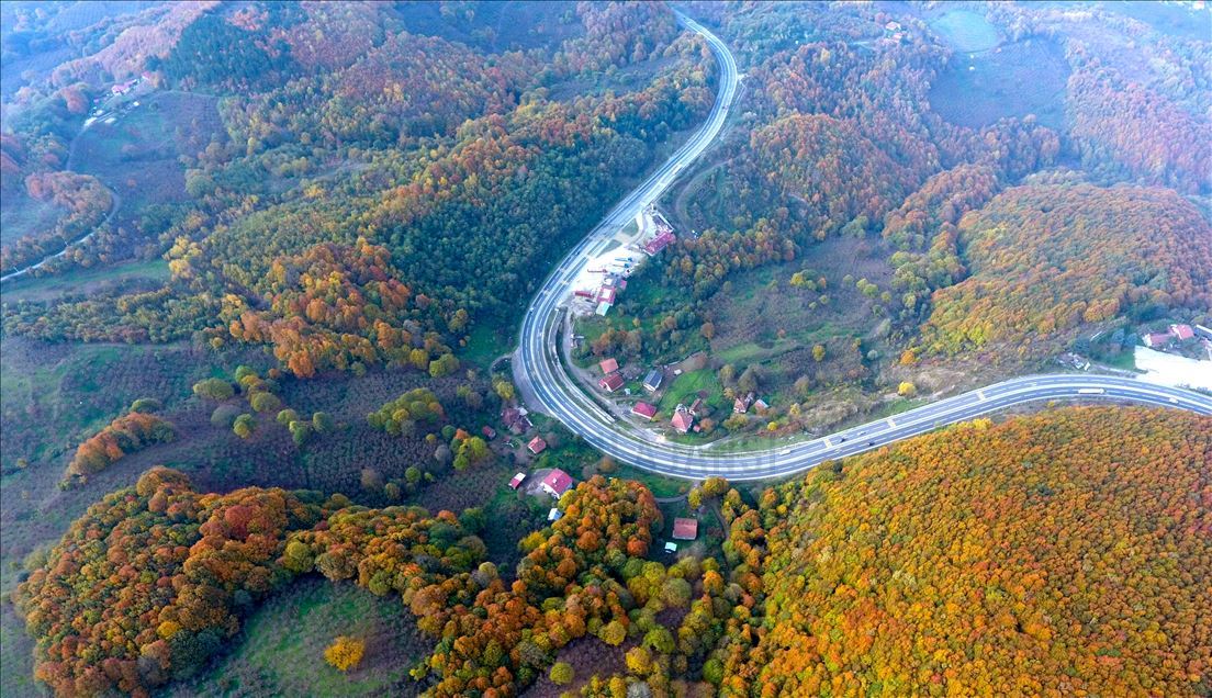 
پاییز هزار رنگ جنگل‌های کوه بولو ترکیه