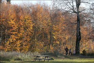 Turquie : Kartepe aux couleurs automnales