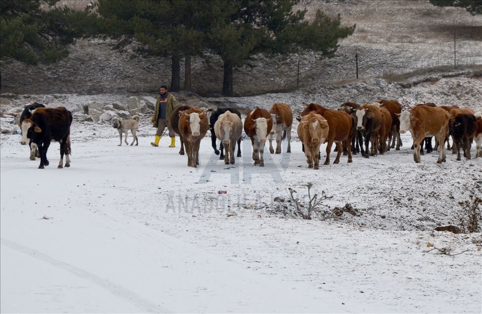 Li Qersê berfa ewil a salê barî