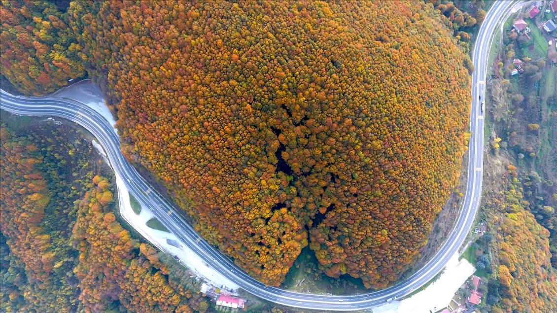 Bolu Dağı sonbaharla birlikte sürücülere görsel şölen sunuyor